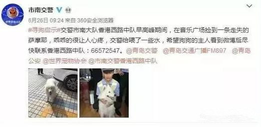 有問題找警察，薩摩耶派出所報案，不注意這件事，對狗狗致命，警察蜀黍卻幫不上忙！