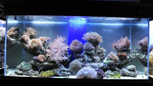 家中旺位和衰位在哪里？三分鐘學習室內風水學