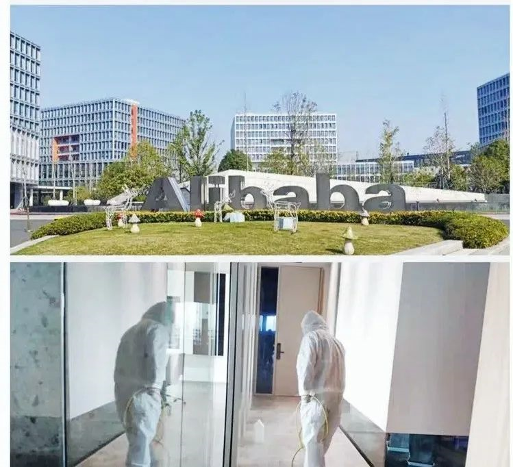 吾志所向，一往無前 | 創(chuàng)綠家2020年大事記