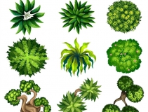 可以?xún)艋覂?nèi)空氣的植物，這二十種您需要好好了解一下！