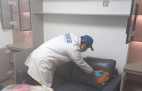哪種方法除甲醛才是真正有效的呢？