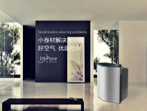 盆栽、魚兒養(yǎng)不活怎么辦 是甲醛導(dǎo)致的嗎？