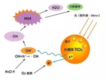 現(xiàn)在光觸媒的價格是多少？