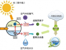 冷觸媒，暗觸媒，風(fēng)觸媒是怎樣的甲醛治理方式？