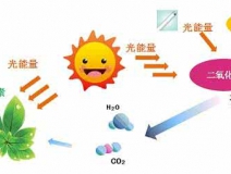 家中甲醛超標(biāo)，什么才是甲醛治理的正確姿勢(shì)？