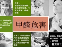 哪些綠植可以除甲醛？