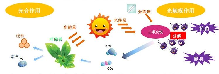 光觸媒去除房間甲醛爭議很大？