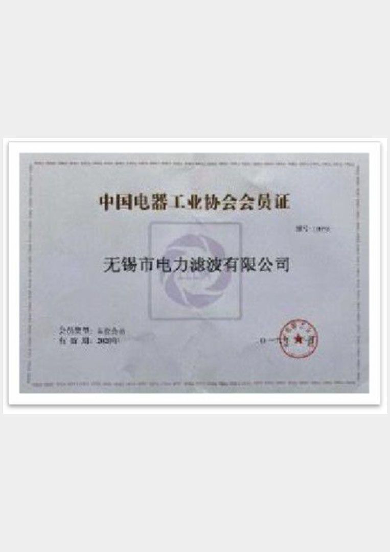 2019年成為中國電器工業(yè)協會會員